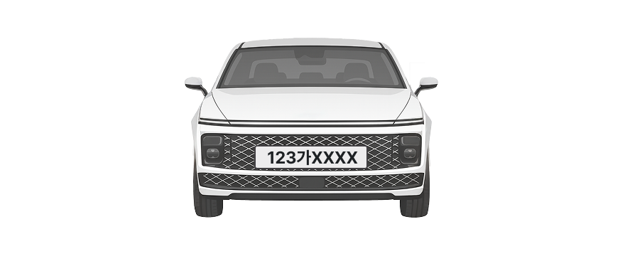 등록 전 차량번호판 예시 이미지